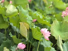 -时间仓(月湖公园店)