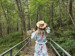 -五营红松林海景区