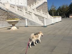 -永定河休闲森林公园