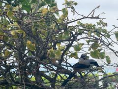 -亚龙湾中心广场