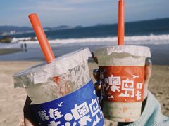 -南澳岛打卡果汁冰公司