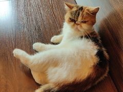 -猫岛主趣味餐厅(鼓浪屿店)