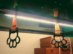 -猫咪博物馆(顶澳仔猫街店)