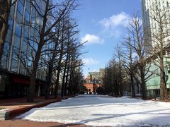 -北海道厅旧本厅舍(旧本庁舎)