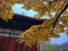 -红螺寺