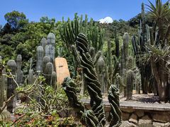 -深圳仙湖植物园