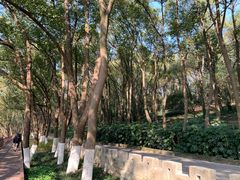 -上海市保健医疗中心