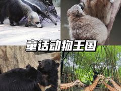 -长鹿旅游休博园