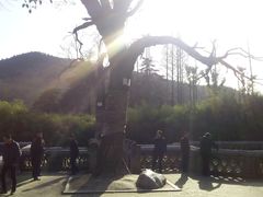 android_upload_pic-习家池