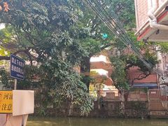 -小洲村