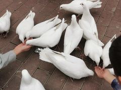 -王府井奥莱临潼小镇(临潼店)