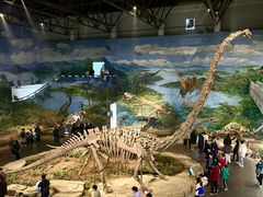 -自贡恐龙博物馆