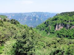 -王莽岭风景区