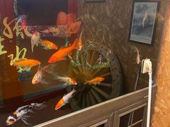 -闯关东东北农家菜(崂山石老人店)