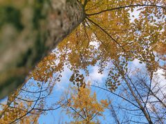 -重庆中央公园(渝北区)