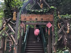 -西双版纳原始森林公园