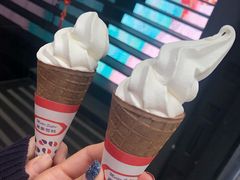 -富豪雪糕车流动点(尖沙咀店)
