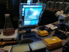 -奥兰多迪士尼动物王国乐园