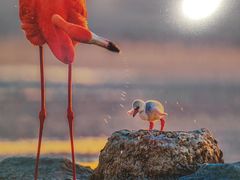 -罗红摄影艺术馆