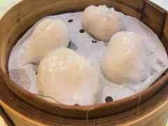 -添好运点心专门店(北角店)