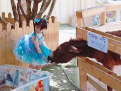 -HERRE·FARM 赫尔露营农场·团建聚会包场