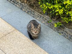 -万达广场(南宁青秀店)