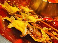 通威三角峰-味当家鱼头火锅.•甲鱼料理(金沙店)