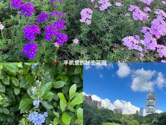 -深圳国际园林花卉博览园