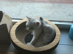-青春加萌照相馆