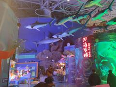 -烟台海昌鲸鲨海洋公园