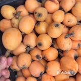 最喜欢塘栖枇杷，是浙江省杭州市余杭区的特产 果行美观