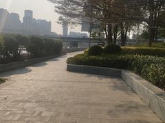 -光明港公园