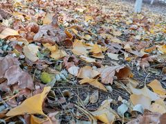 -天津工业大学西苑餐厅