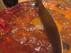 -小龙坎火锅(总店)