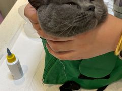 -宠爱国际动物医院· 猫科· 外科·中兽医(长白店)