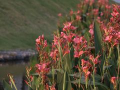 -光明小镇欢乐田园