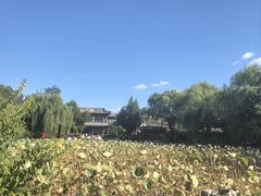 -莲池书院博物馆