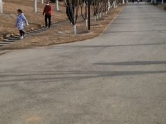 -永定河休闲森林公园