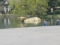 -西湖天地
