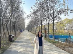 -西青郊野公园