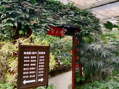 -春满园生态餐厅(南宫路店)