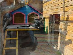 -西霞口神雕山野生动物世界