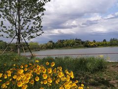 -东郊湿地公园