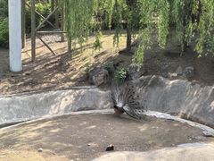 -太原动物园