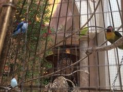 大堂-深圳东部华侨城茵特拉根酒店