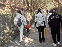 -普陀山慧济禅寺