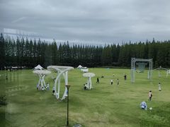 -黄海国家森林公园