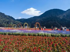 -广州市石门国家森林公园