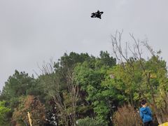 -铁山坪森林公园