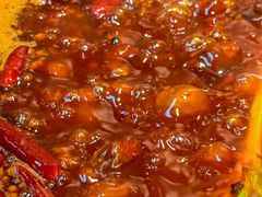 -阳阳老火锅(小南门店)